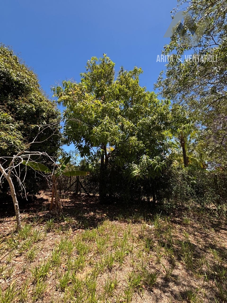 Terreno, 2350 m² - Foto 17