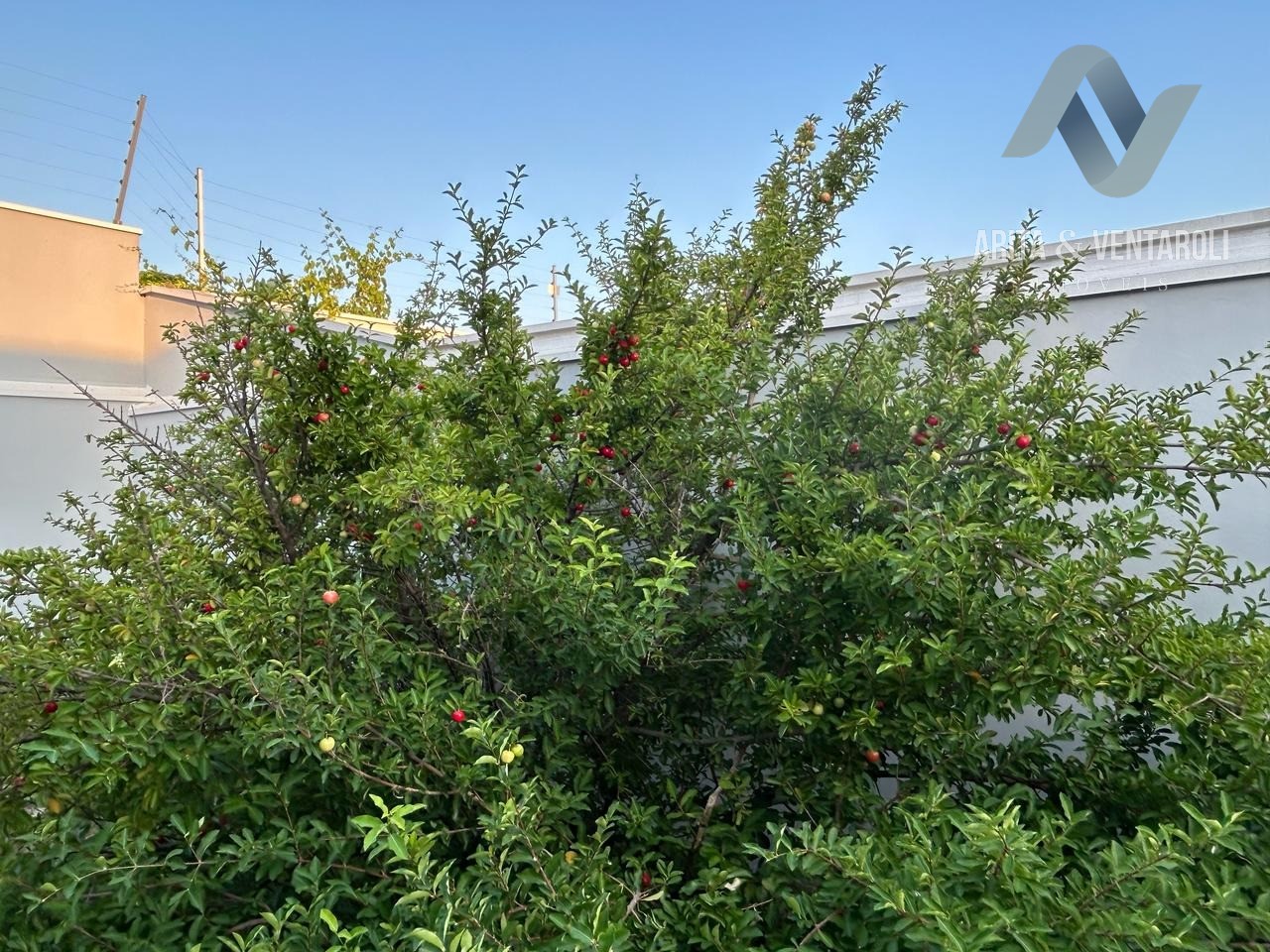 Casa, 3 quartos, 175 m² - Foto 24