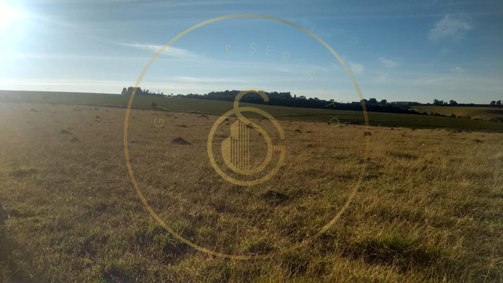 Fazenda para venda no bairro triangulo mineiro - foto 4