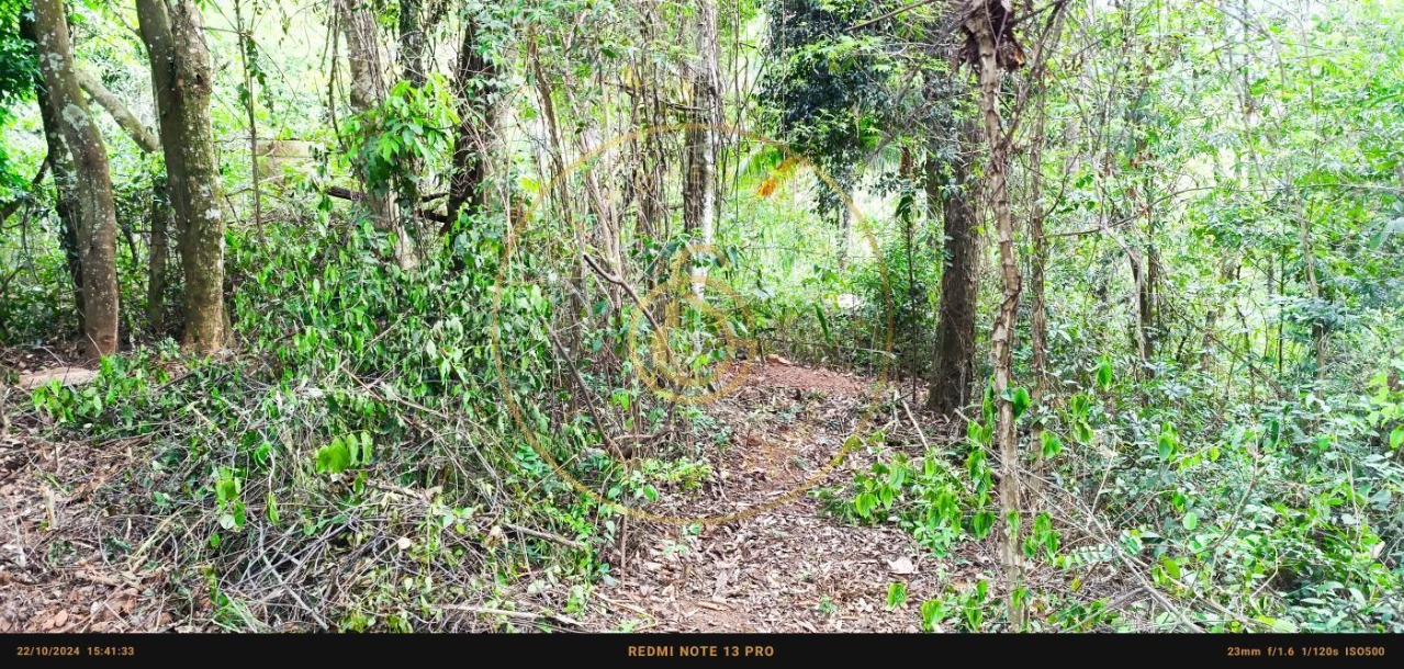 Terreno residencial em cajamar - sp, ponunduva - foto 18