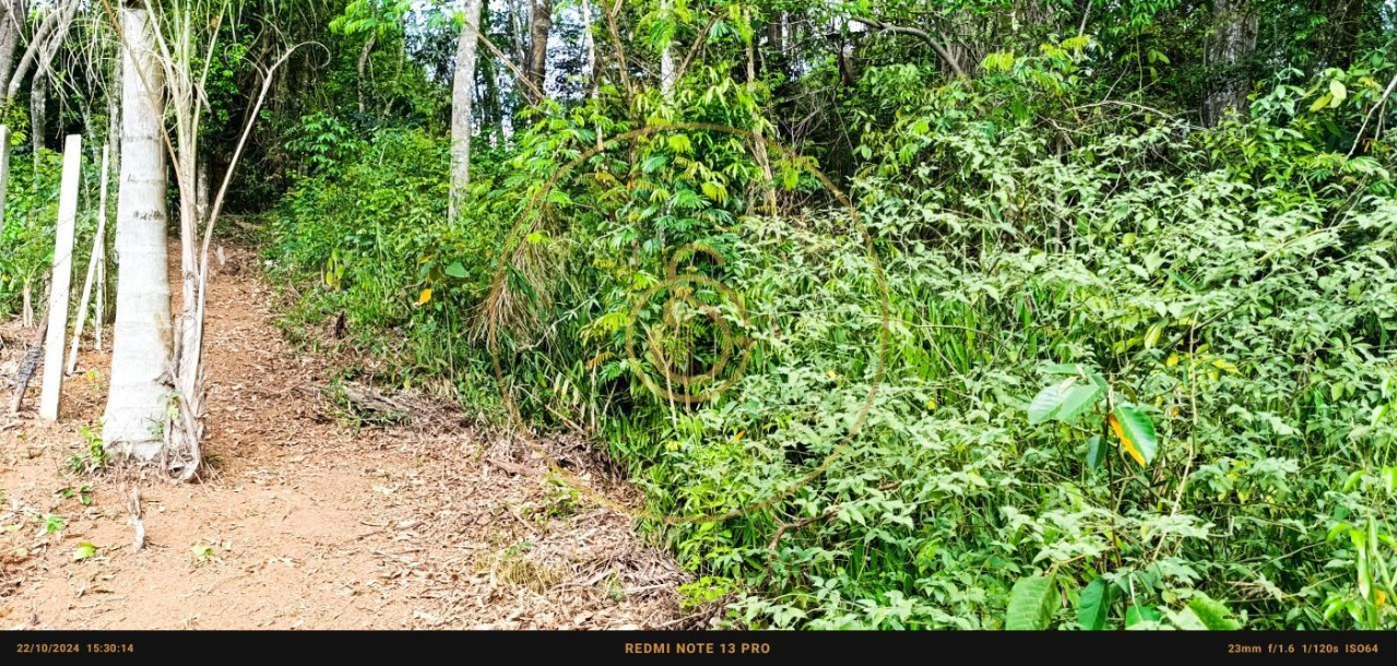 Terreno residencial em cajamar - sp, ponunduva - foto 29