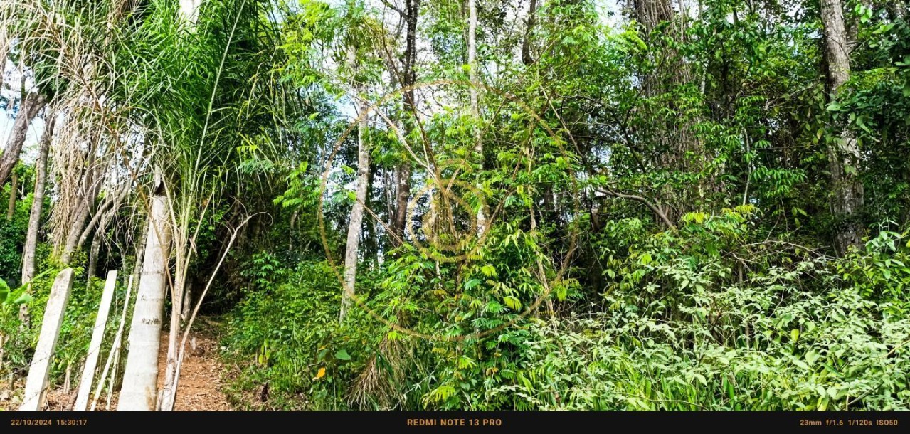 Terreno residencial em cajamar - sp, ponunduva - foto 28