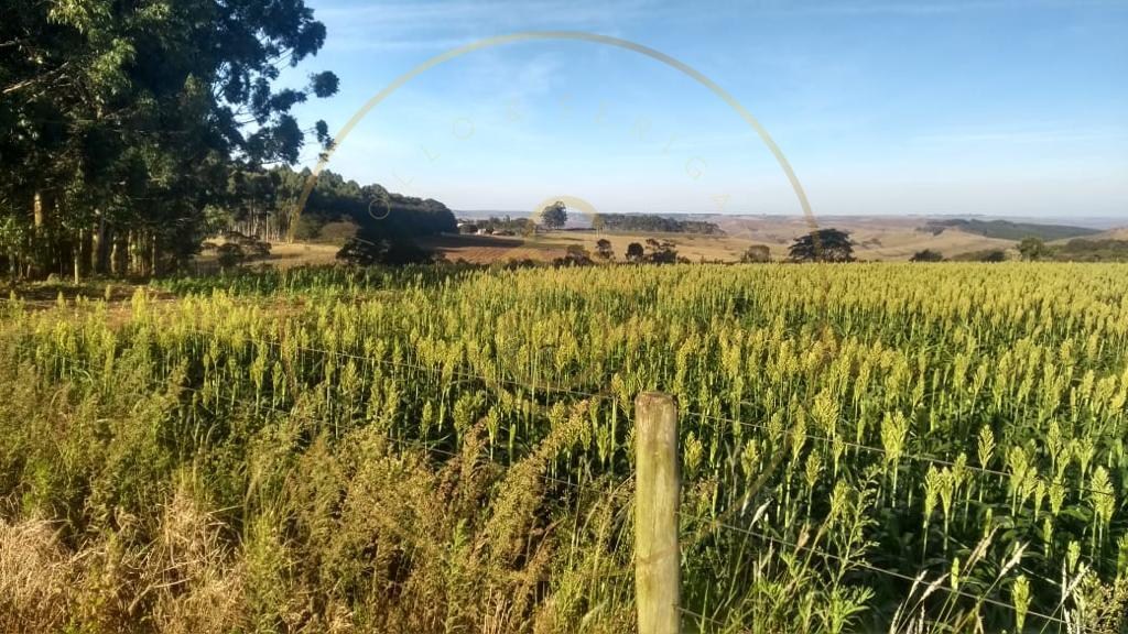 Fazenda para venda no bairro triangulo mineiro - foto 10