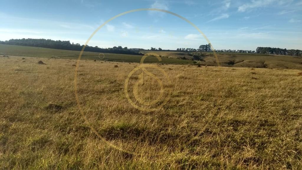 Fazenda para venda no bairro triangulo mineiro - foto 2