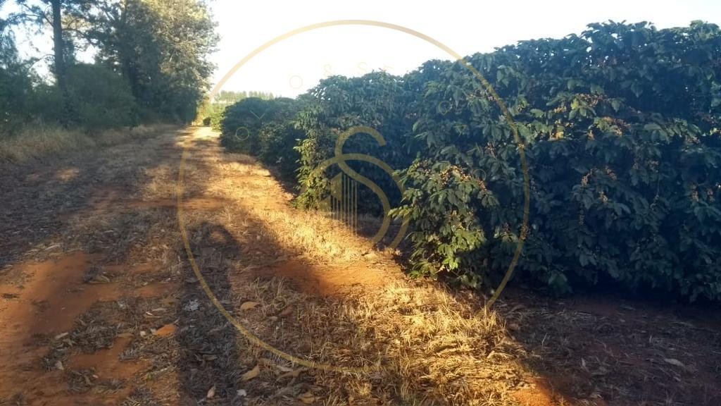 Fazenda para venda no bairro triangulo mineiro - foto 8
