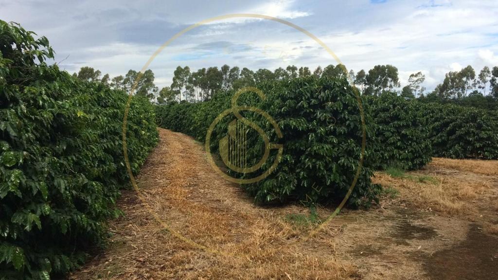 Fazenda para venda no bairro triangulo mineiro - foto 13