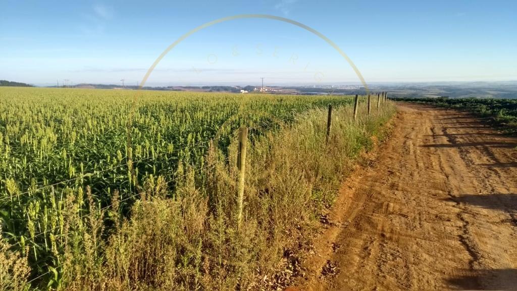 Fazenda para venda no bairro triangulo mineiro - foto 9