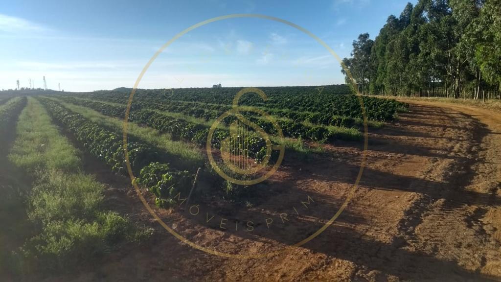 Fazenda para venda no bairro triangulo mineiro - foto 1