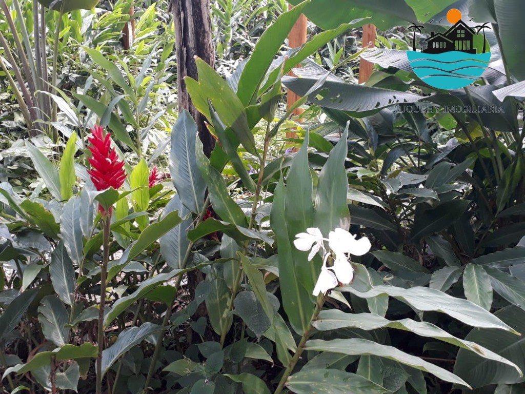 Casa de Condomínio, 4 quartos - Foto 44