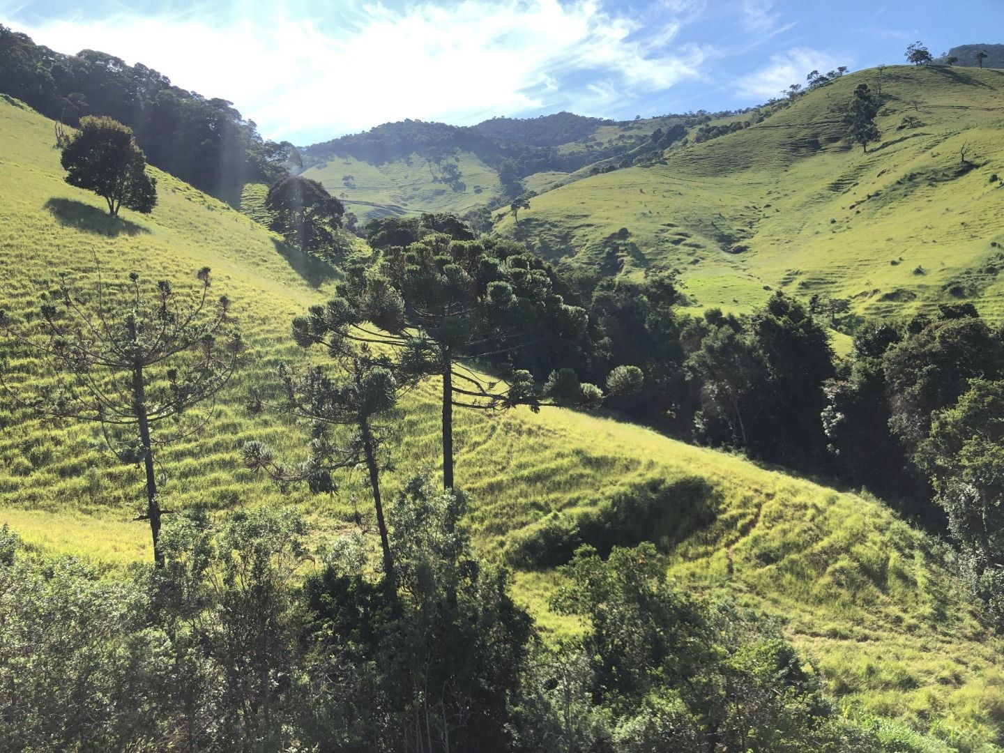 Chácara, 2 hectares - Foto 19