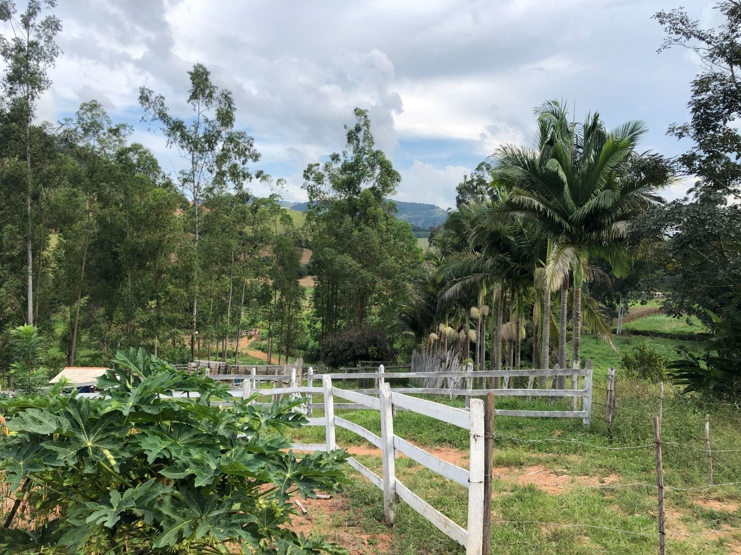 Sítio, 3 quartos, 36 hectares - Foto 32