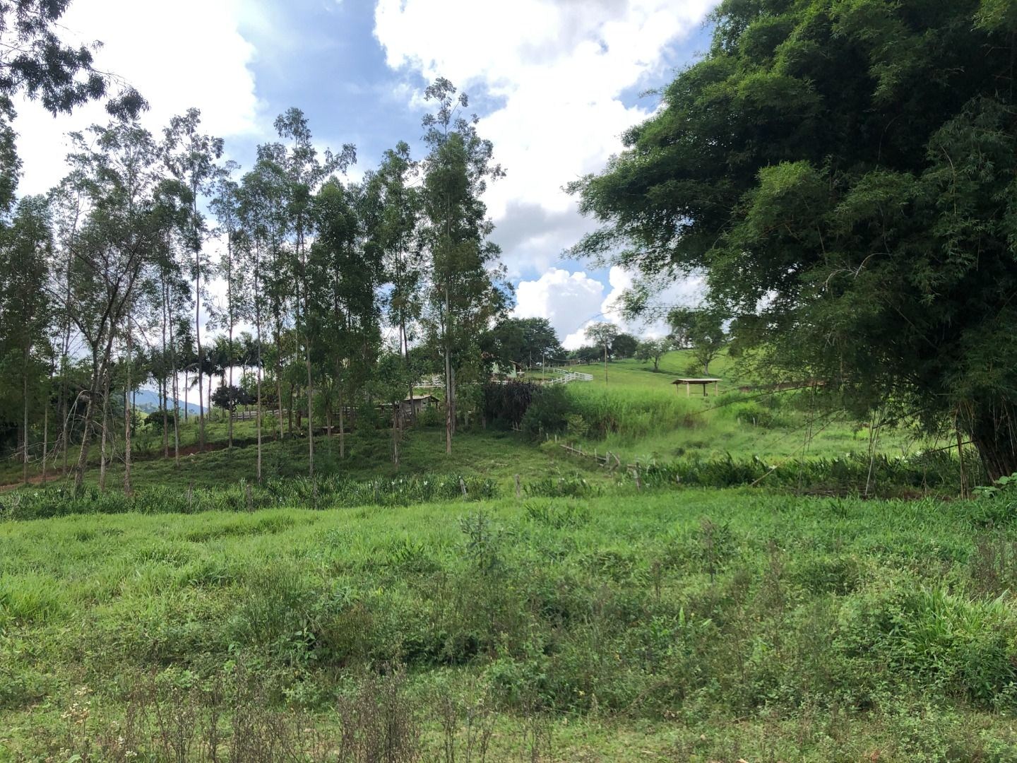Sítio, 3 quartos, 36 hectares - Foto 19