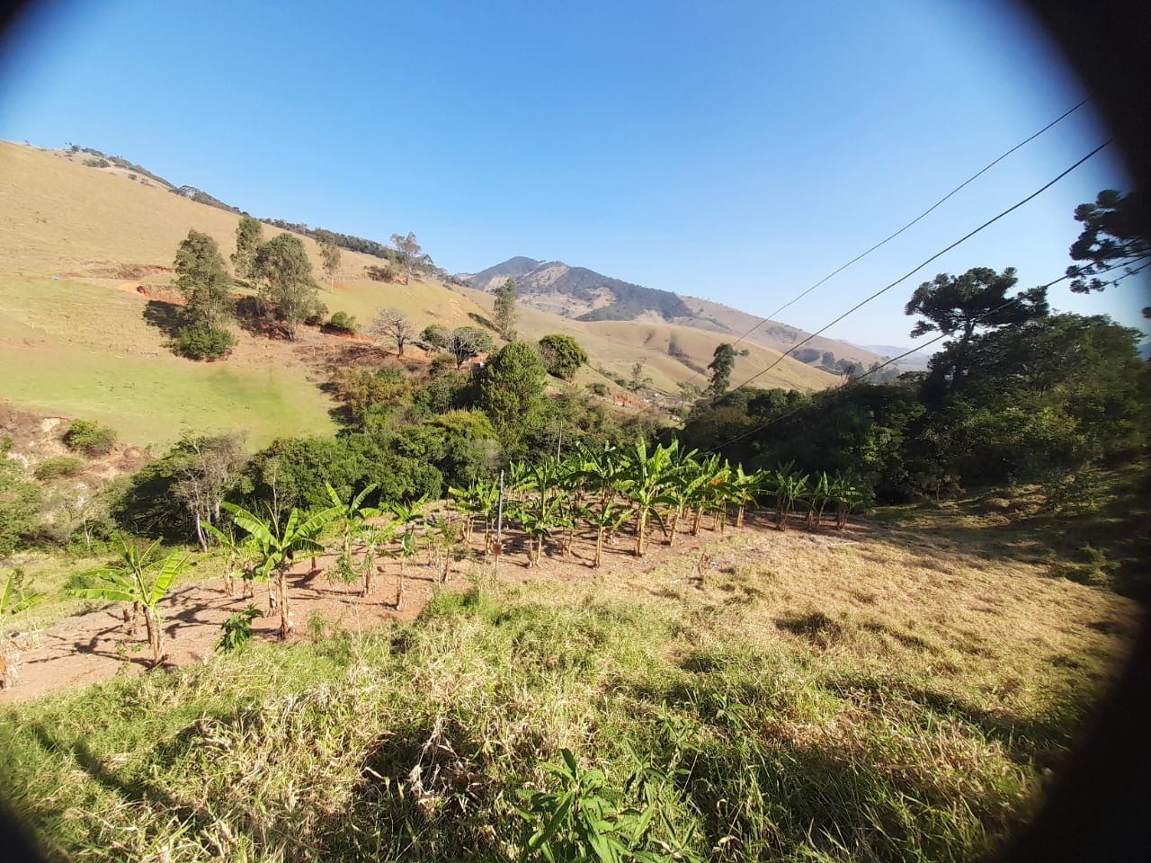 Chácara, 2 hectares - Foto 7