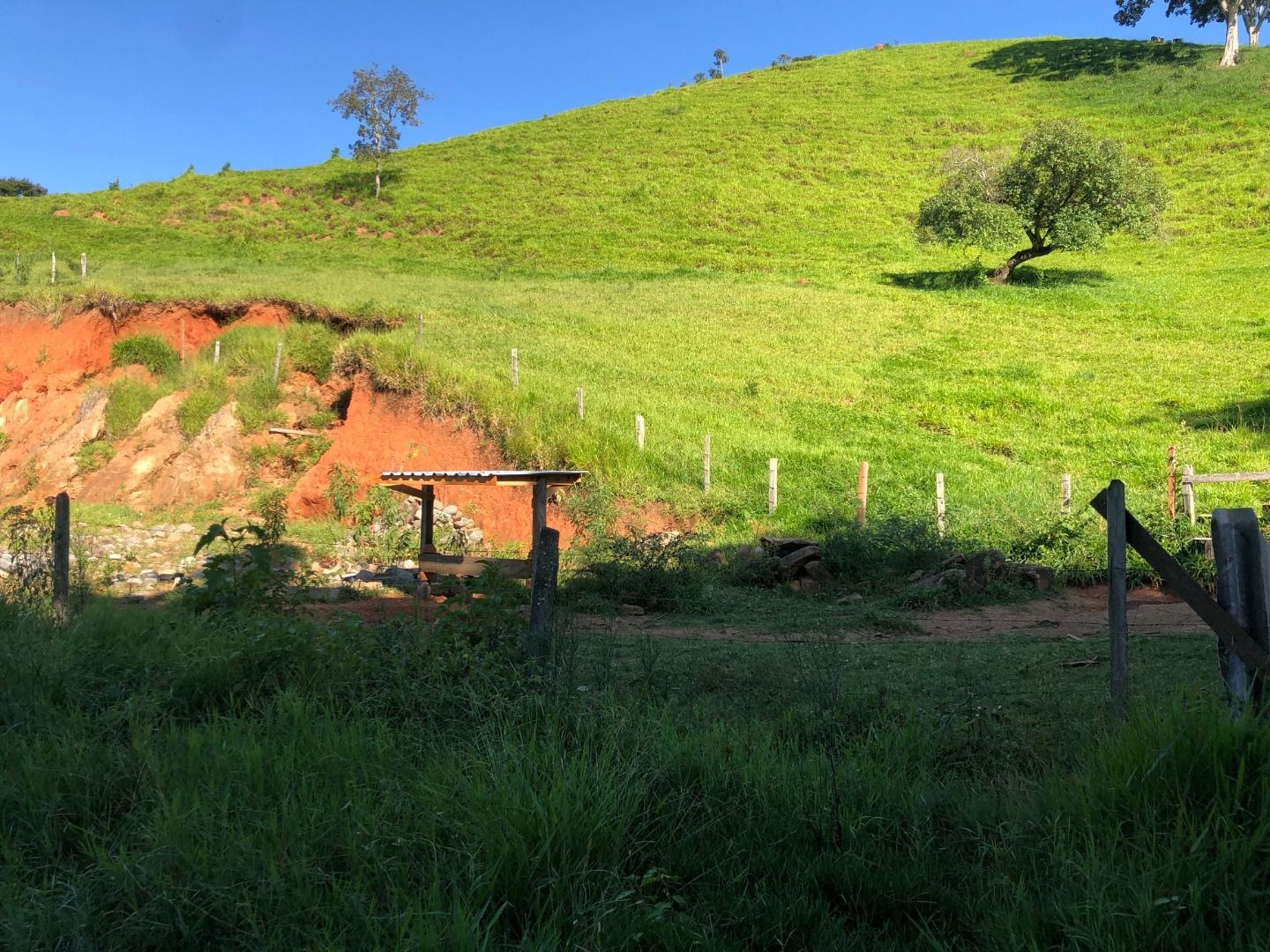 Chácara, 2 hectares - Foto 17