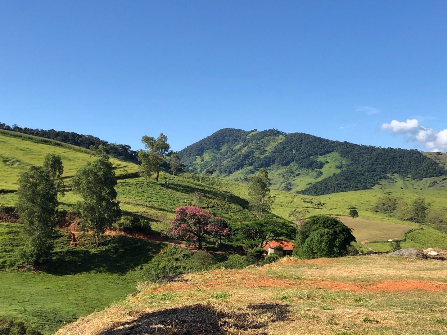 Chácara, 2 hectares - Foto 12