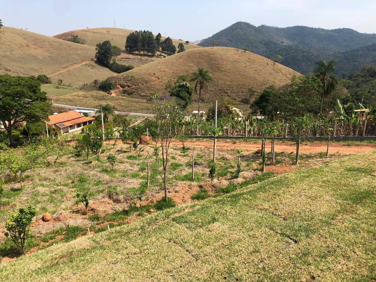 Chácara, 3 quartos, 2 hectares - Foto 7