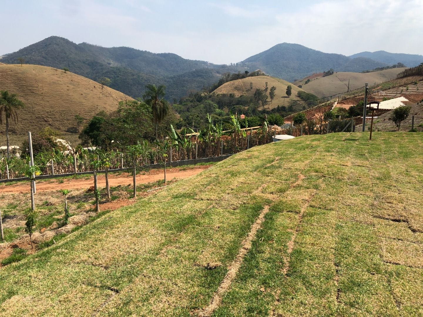 Chácara, 3 quartos, 2 hectares - Foto 8