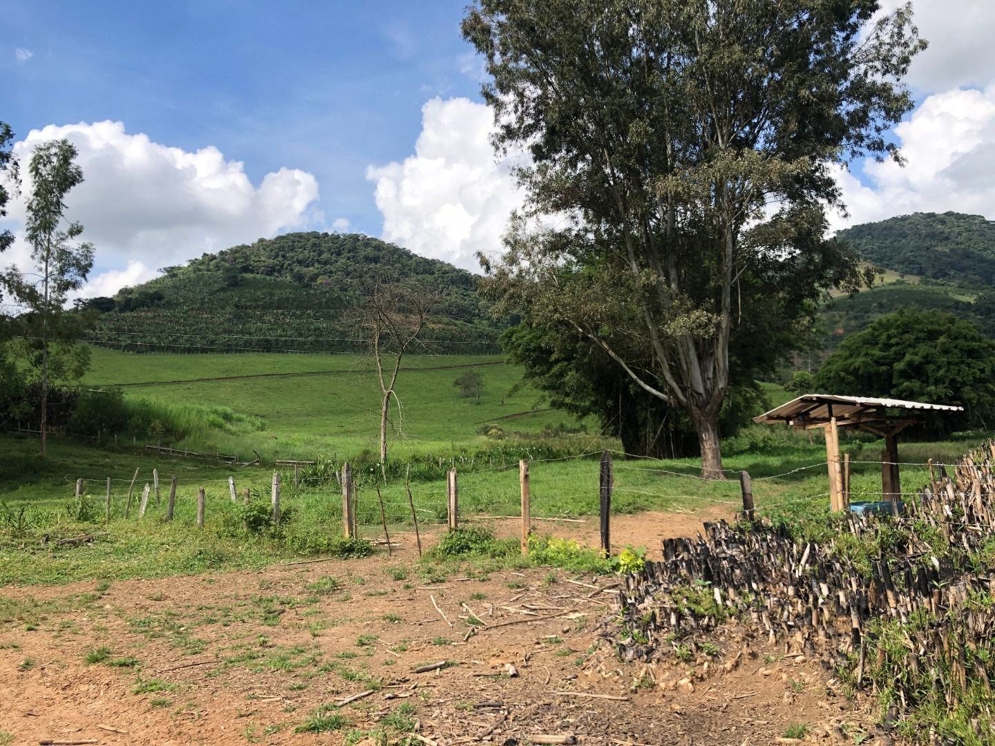 Sítio, 3 quartos, 36 hectares - Foto 5