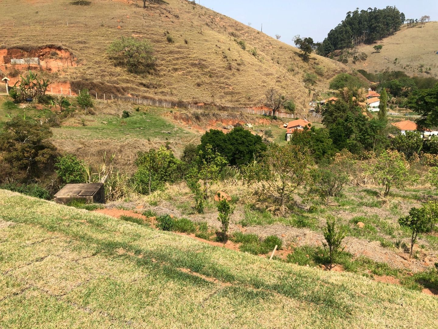 Chácara, 3 quartos, 2 hectares - Foto 6