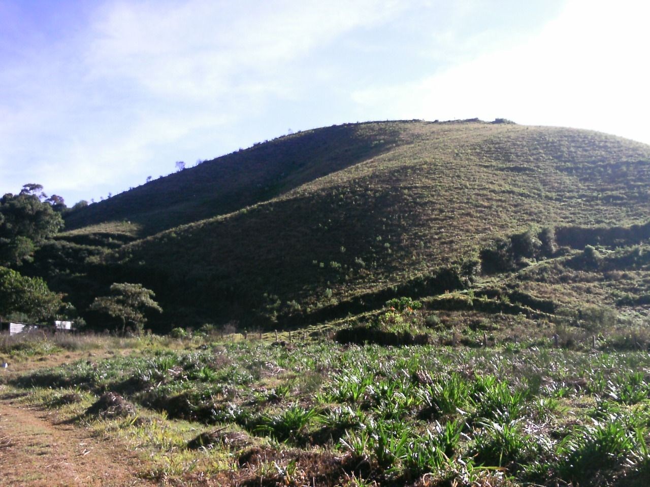 Sítio, 15 hectares - Foto 4