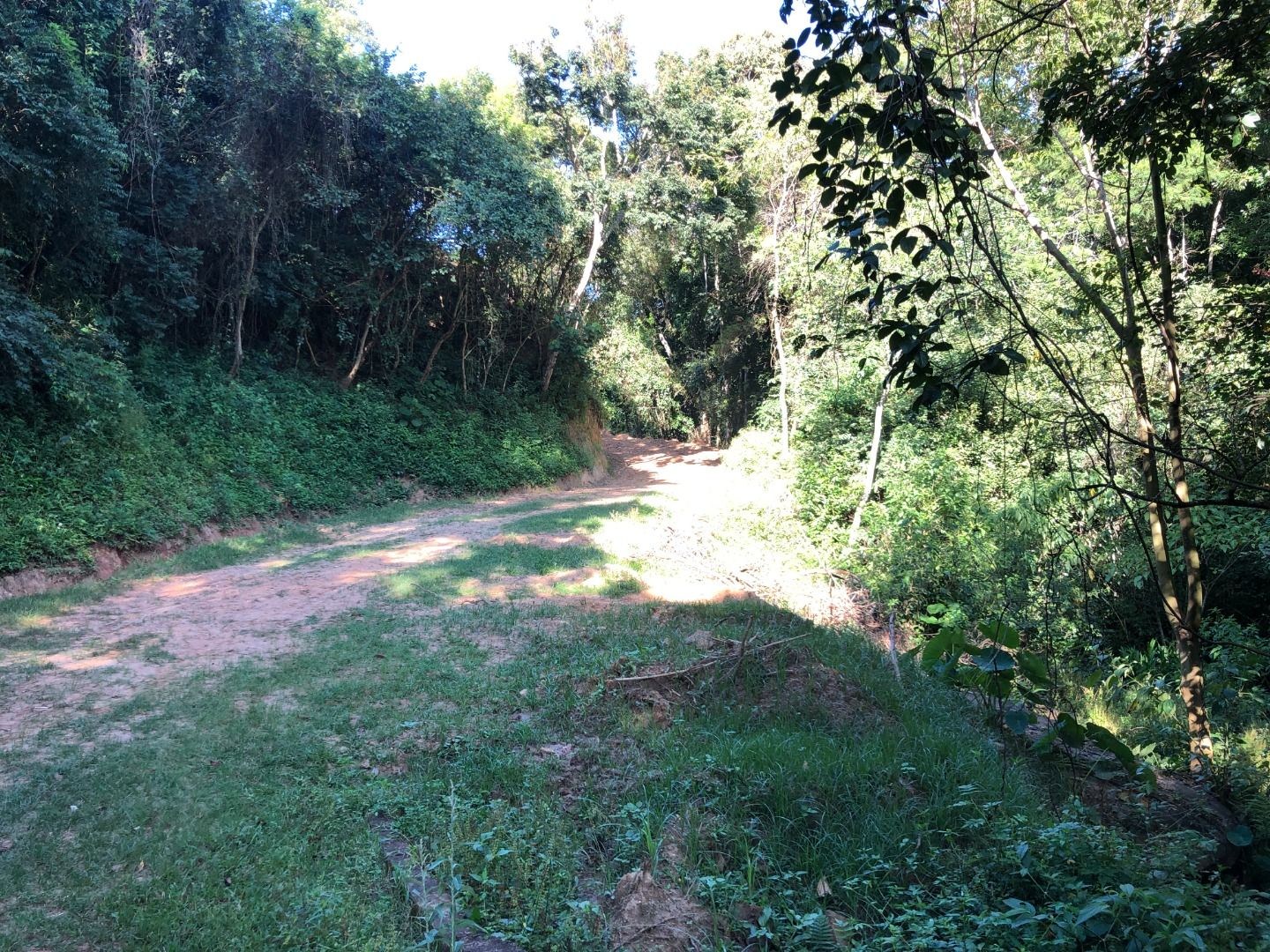 Chácara, 2 hectares - Foto 4