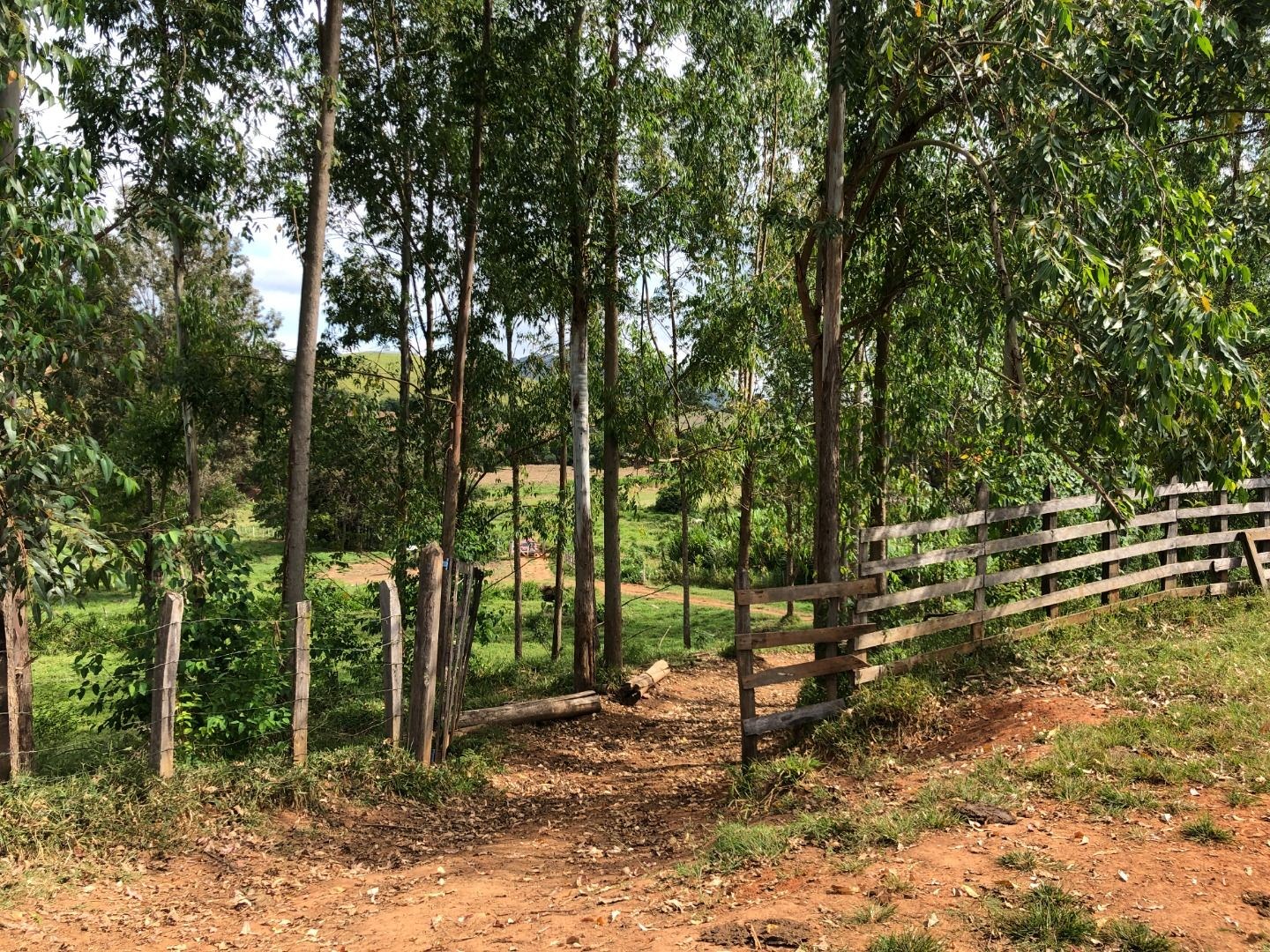 Sítio, 3 quartos, 36 hectares - Foto 25