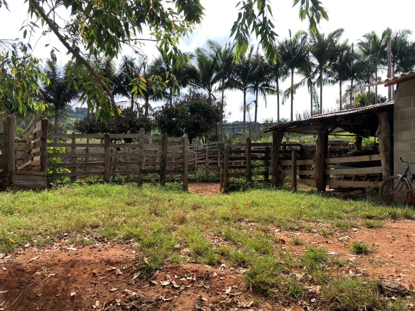 Sítio, 3 quartos, 36 hectares - Foto 23
