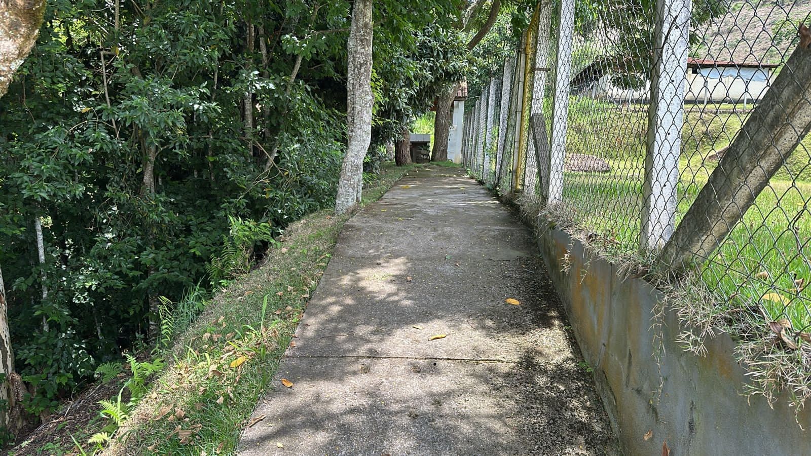 Sítio, 5 quartos, 6 hectares - Foto 17