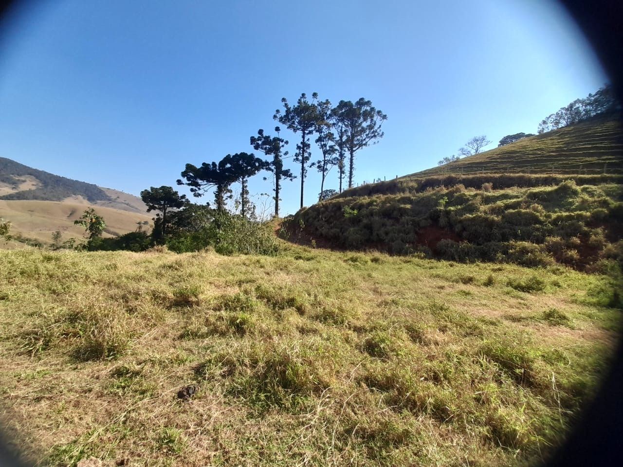 Chácara, 2 hectares - Foto 11