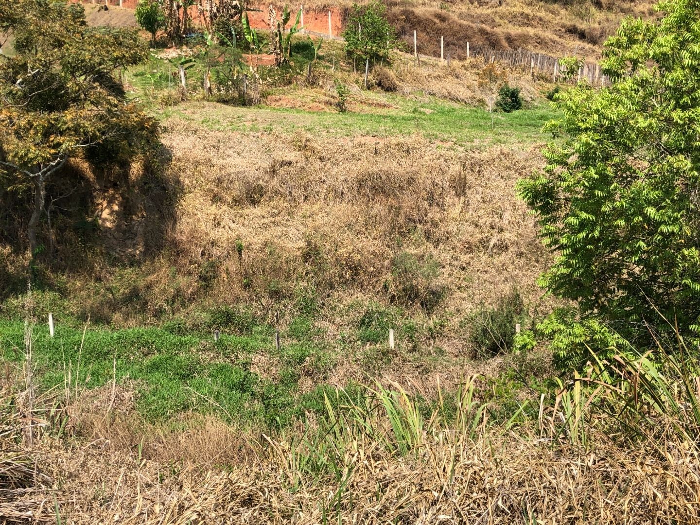 Chácara, 3 quartos, 2 hectares - Foto 20