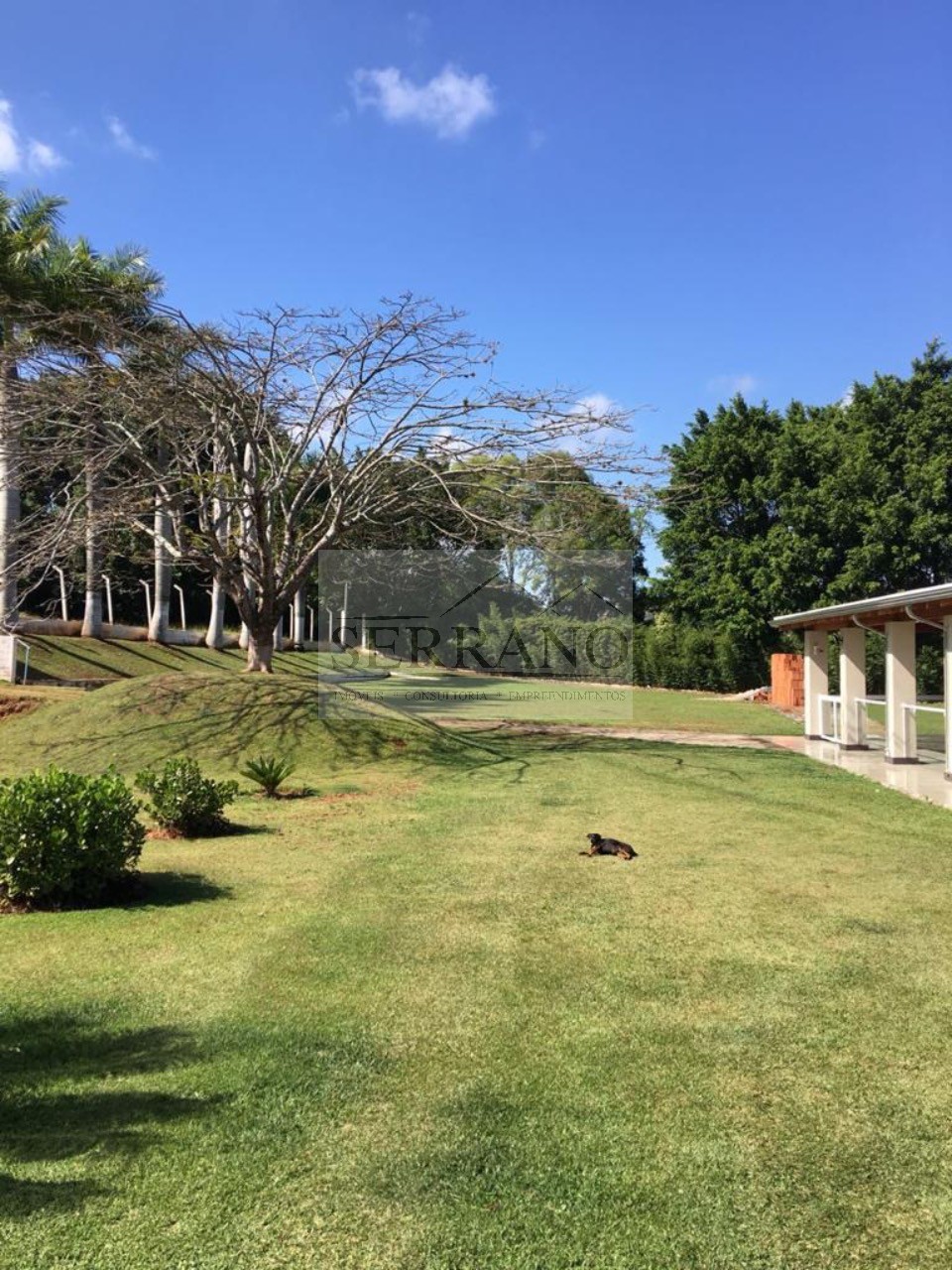Terreno, 2 hectares - Foto 1