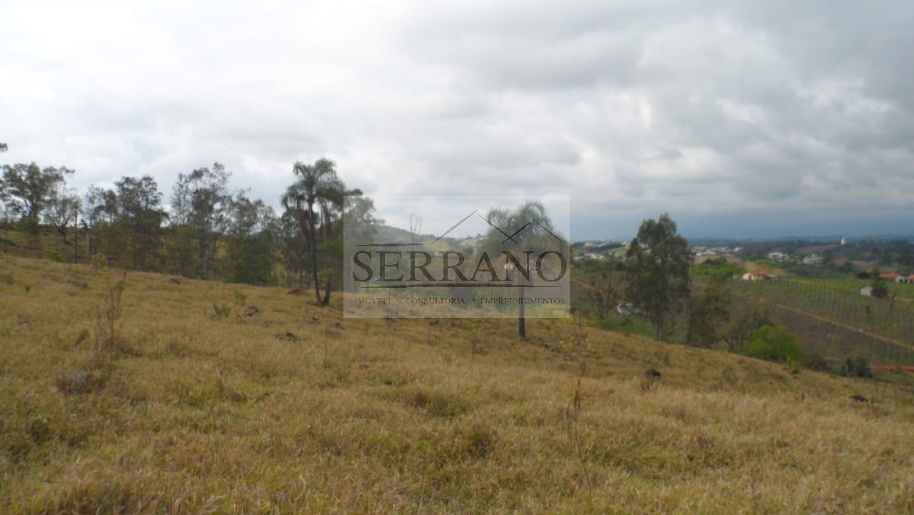 Terreno, 9 hectares - Foto 4