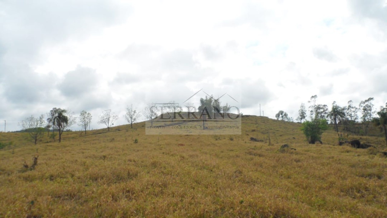Terreno, 9 hectares - Foto 8