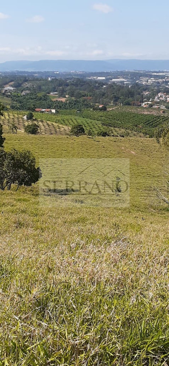 Terreno, 9 hectares - Foto 13