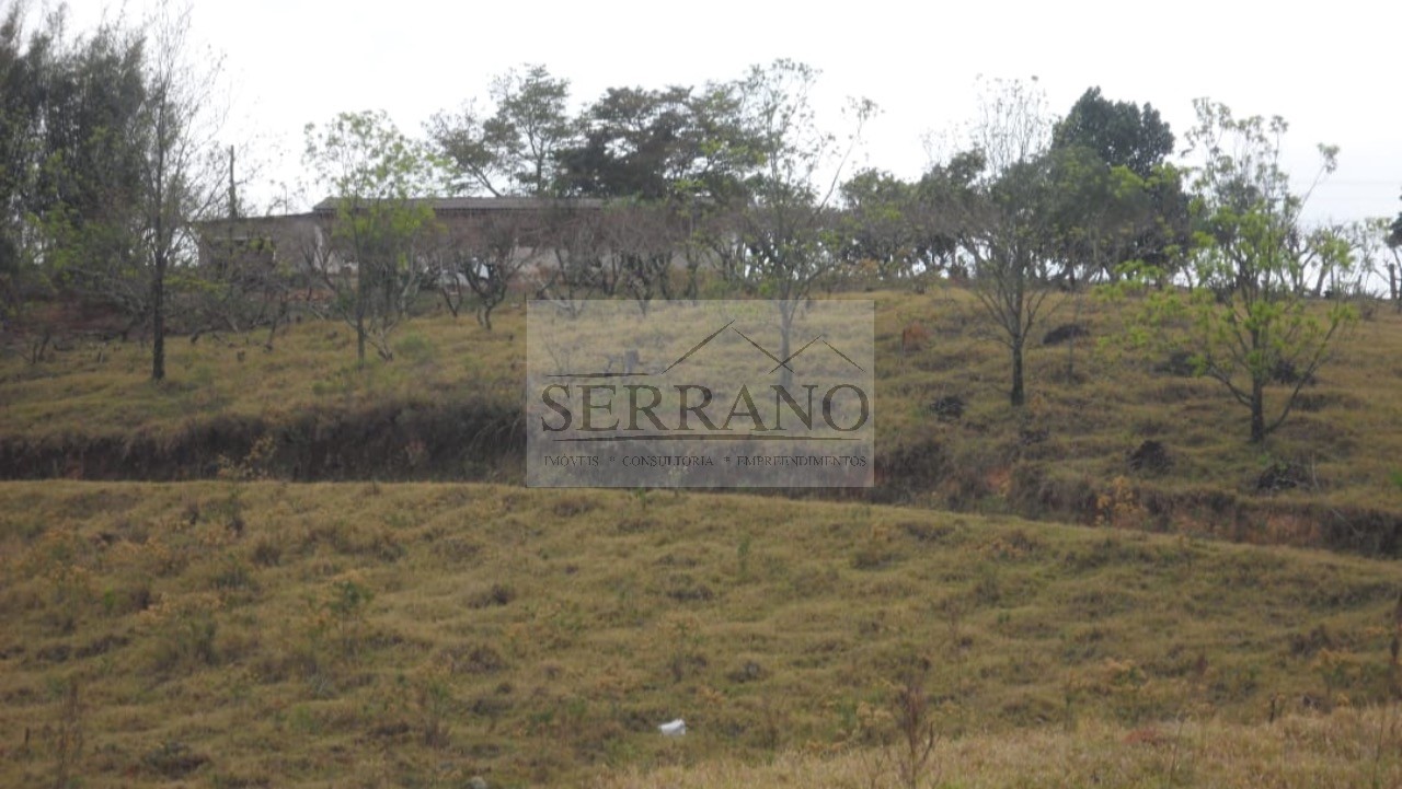 Terreno, 9 hectares - Foto 9