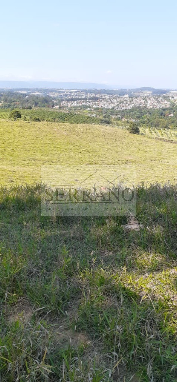 Terreno, 9 hectares - Foto 14