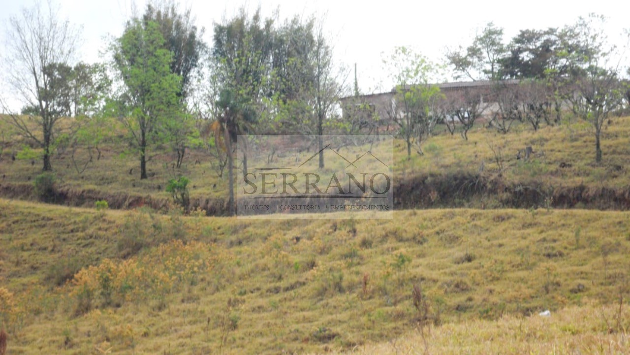 Terreno, 9 hectares - Foto 11