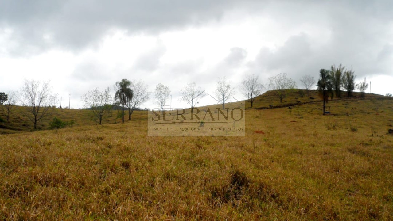 Terreno, 9 hectares - Foto 10