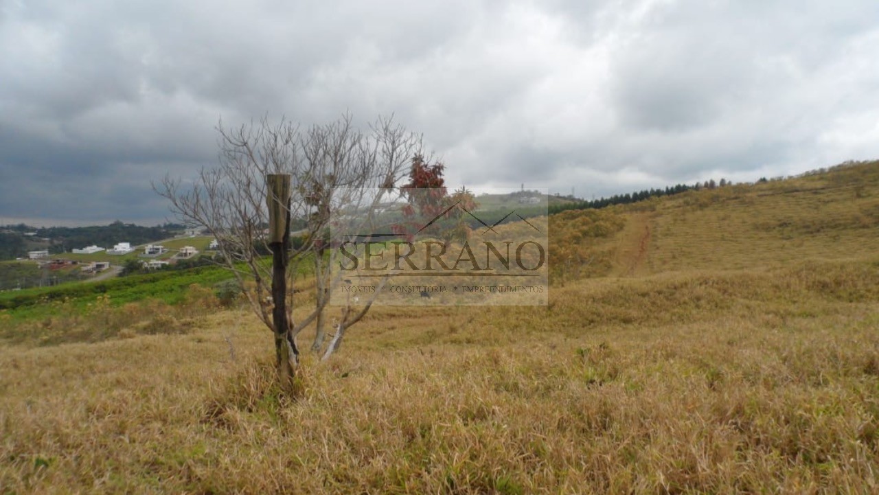 Terreno, 9 hectares - Foto 7