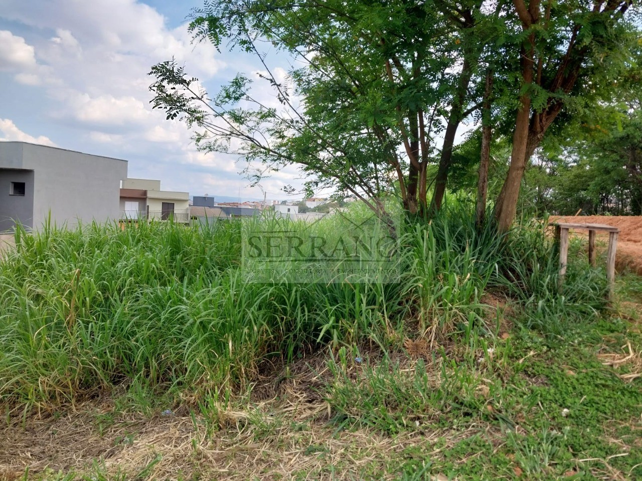 Terreno, 250 m² - Foto 1