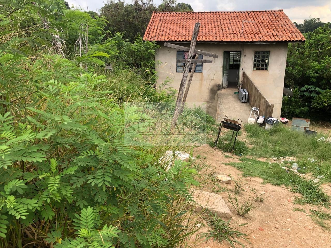 Terreno, 6100 m² - Foto 4