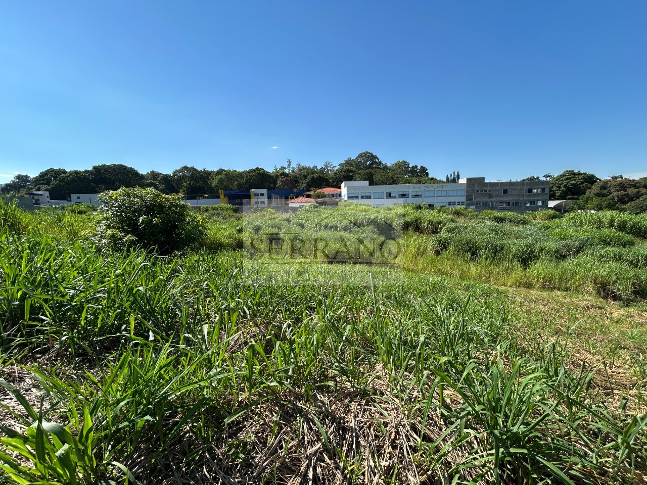 Terreno, 264 m² - Foto 3