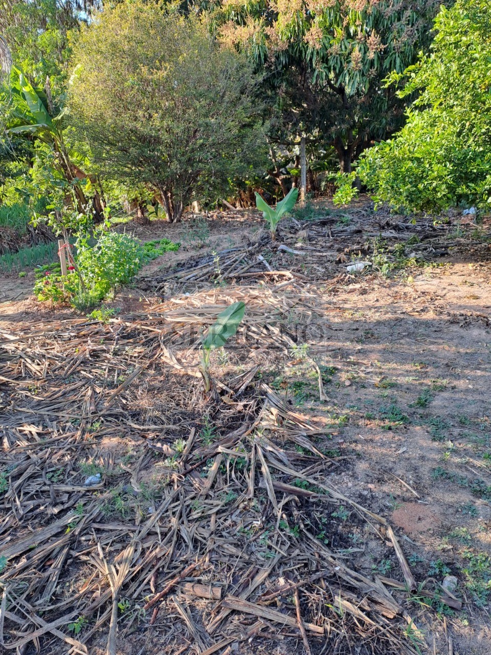 Terreno, 1190 m² - Foto 3