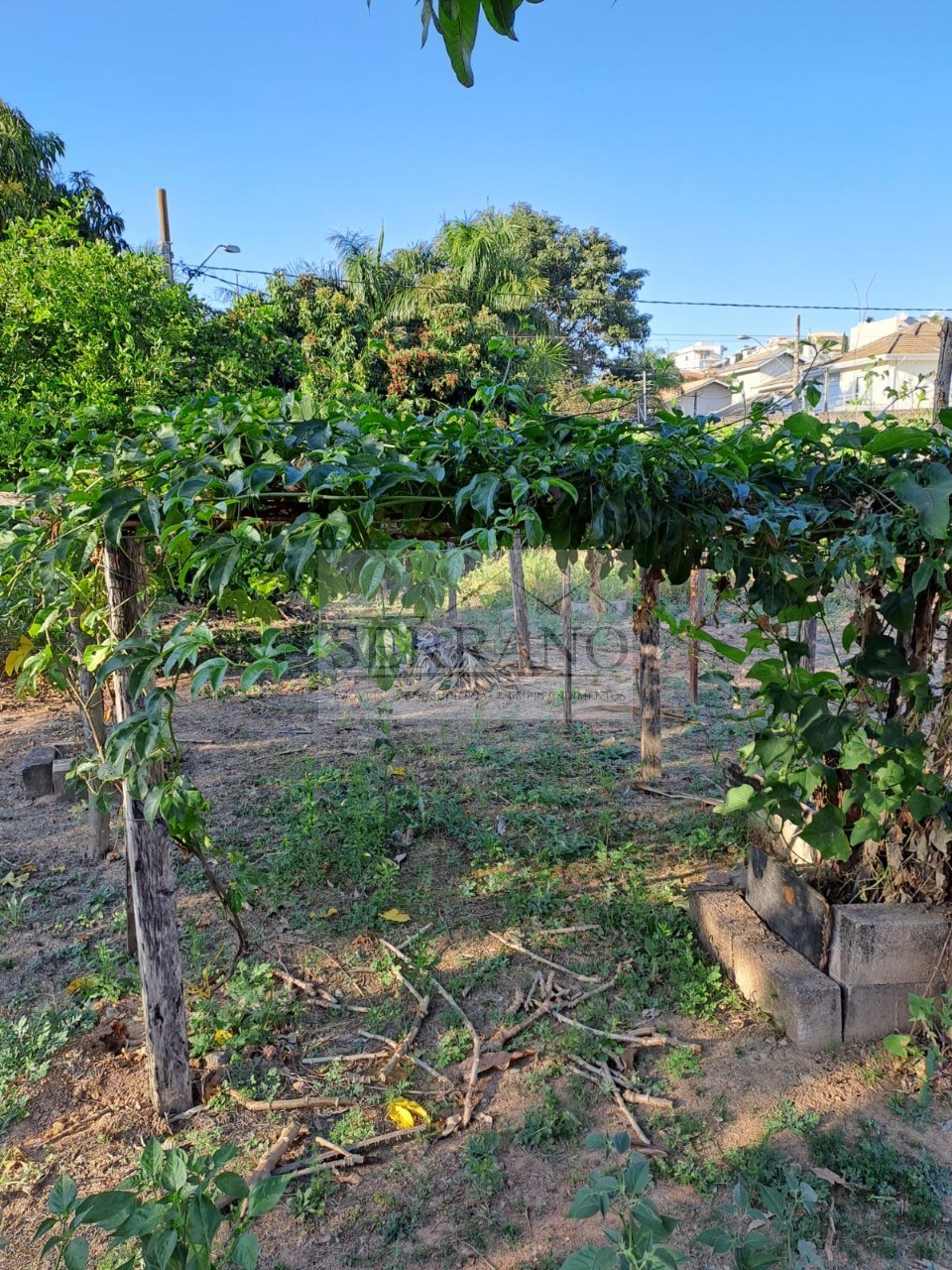 Terreno, 1190 m² - Foto 4