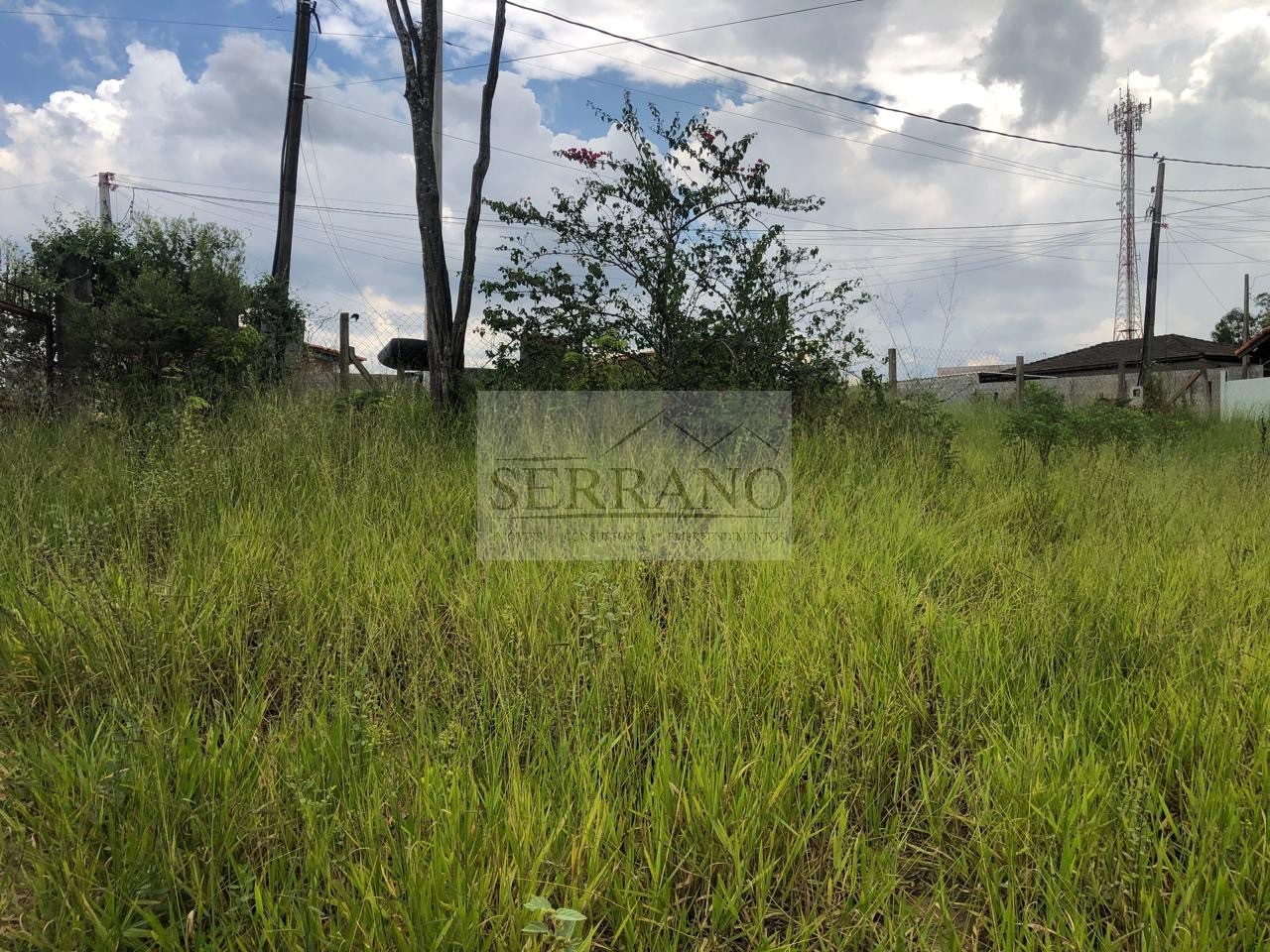 Terreno, 6100 m² - Foto 9