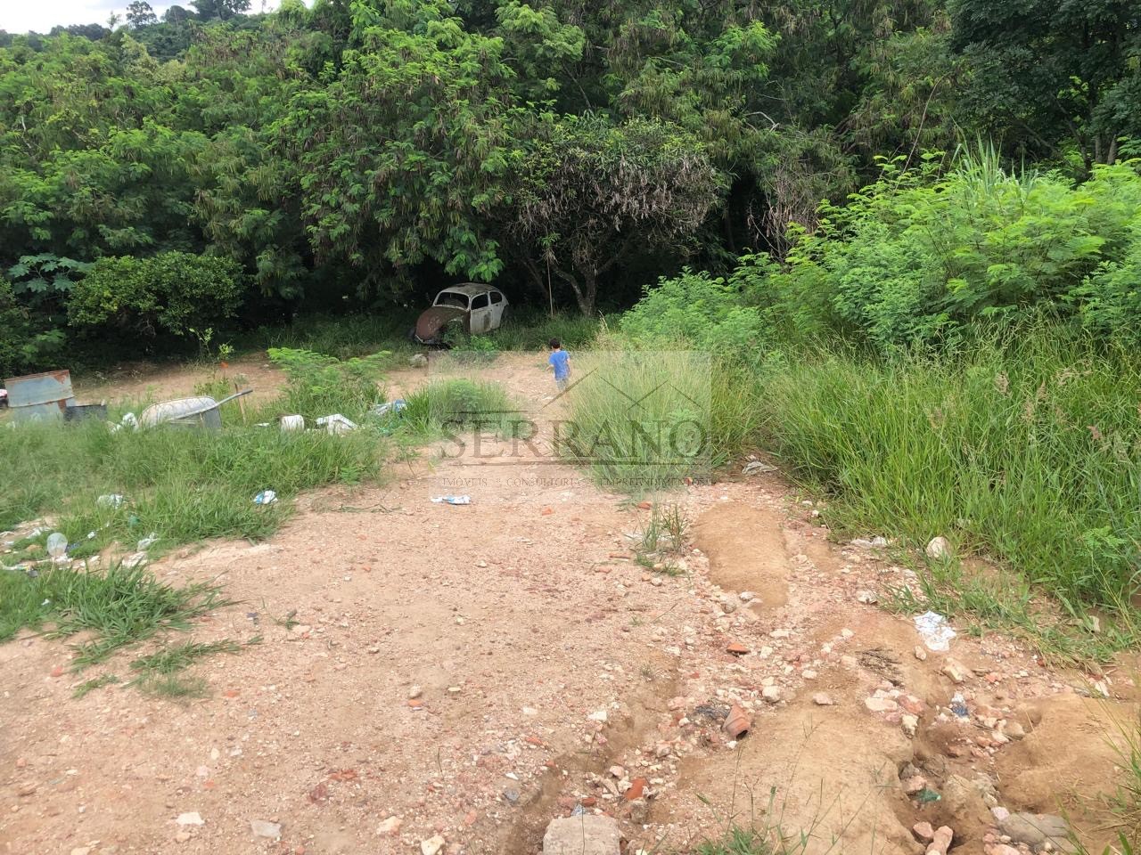 Terreno, 6100 m² - Foto 3
