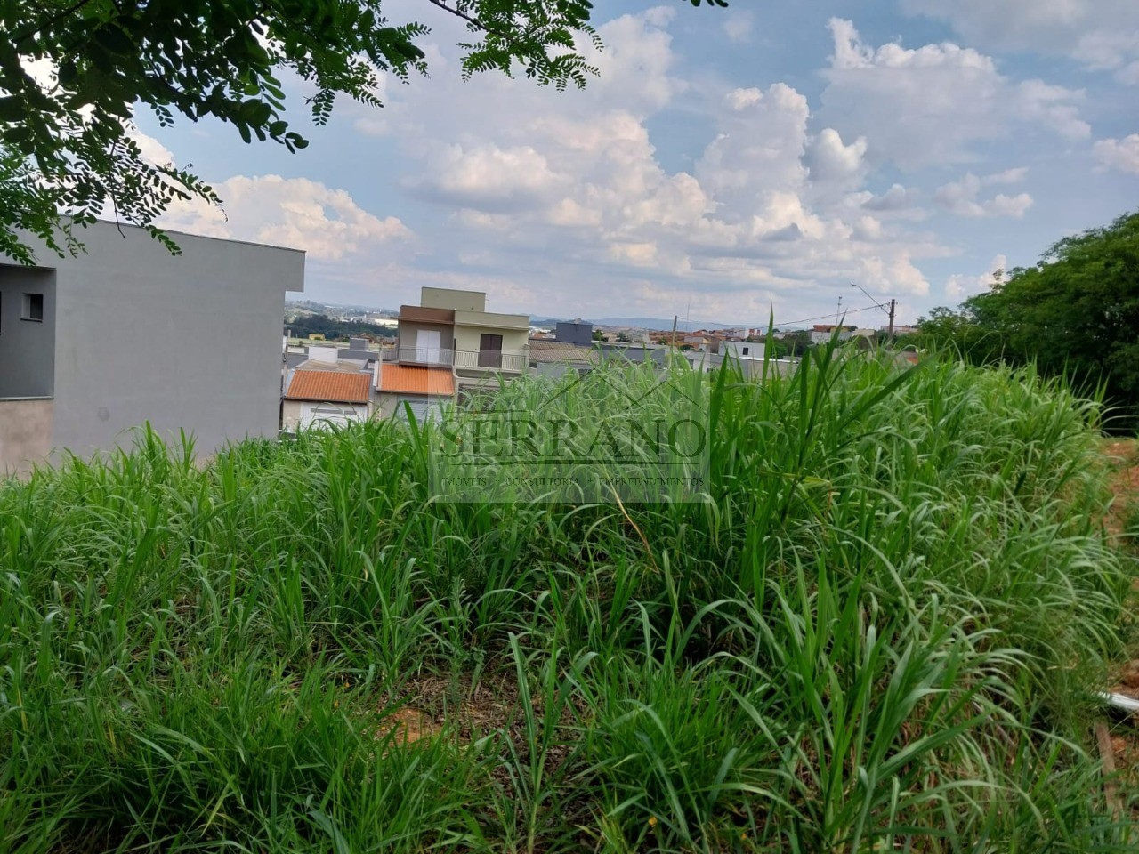 Terreno, 250 m² - Foto 5