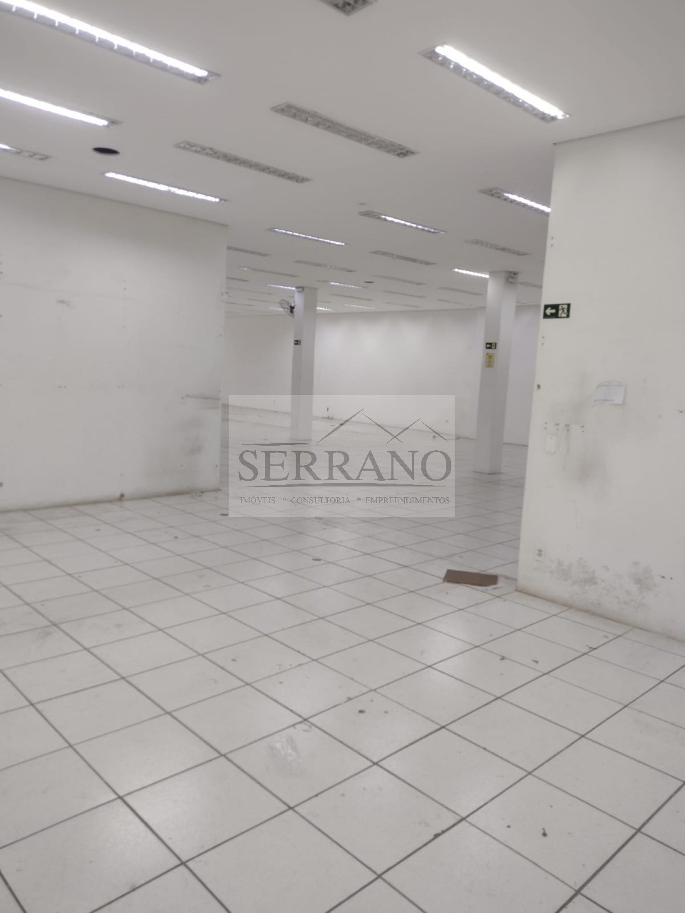Loja-Salão, 1171 m² - Foto 6