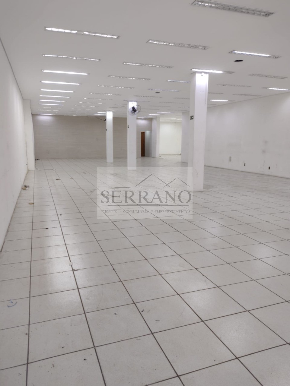 Loja-Salão, 1171 m² - Foto 3