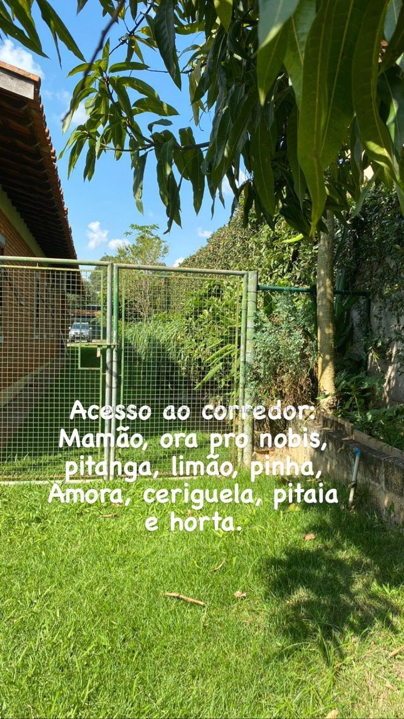 Chácara, 3 quartos - Foto 18